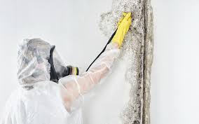 Best Mold Removal for HVAC Installations  in Pleasant View, TN